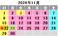 2026年11月